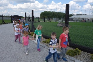 PARK PRZYGÓD I ATRAKCJI-SPOTKANIE ZE ZWIERZĄTKAMI