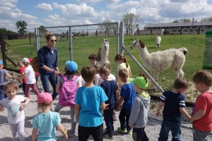 PARK PRZYGÓD I ATRAKCJI-SPOTKANIE ZE ZWIERZĄTKAMI
