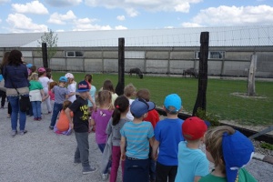 PARK PRZYGÓD I ATRAKCJI-SPOTKANIE ZE ZWIERZĄTKAMI