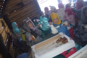 Zimowy kulig