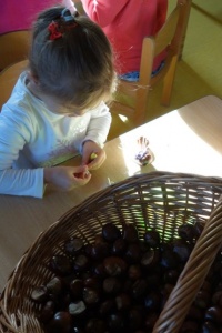 KASZTANKOTWORZENIE