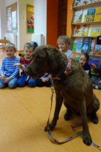 SEZAMKOWA DOGOTERAPIA