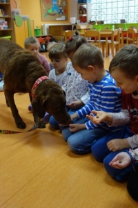 SEZAMKOWA DOGOTERAPIA