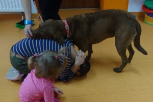 SEZAMKOWA DOGOTERAPIA
