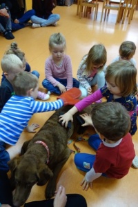 SEZAMKOWA DOGOTERAPIA