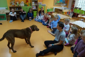 SEZAMKOWA DOGOTERAPIA