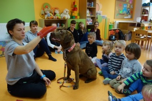SEZAMKOWA DOGOTERAPIA