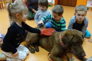 SEZAMKOWA DOGOTERAPIA