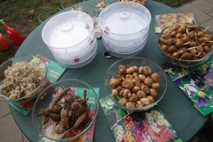 MALI OGRODNICY