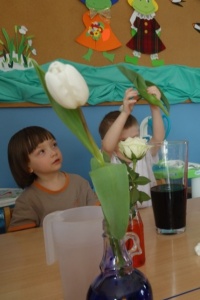 KWIECISTE EKSPERYMENTY