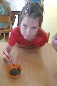 SŁOŃ TRĄBALSKI