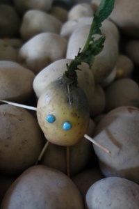 KARTOFLAKI