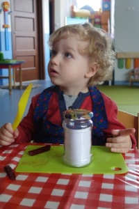 ŹABKI I BURACZKI