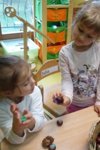 KASZTANKOTWORZENIE