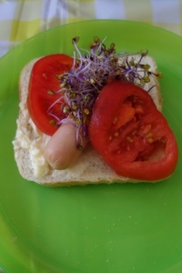 NAJPIĘKNIEJSZE KANAPKI
