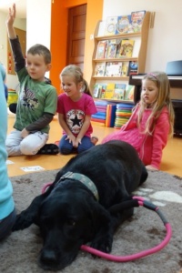 DOGOTERAPIA