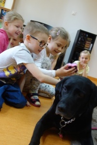 DOGOTERAPIA
