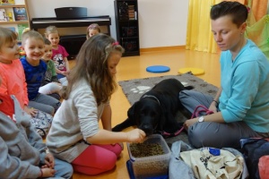 DOGOTERAPIA