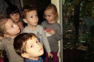 LEŚNA SALKA EDUKACYJNA