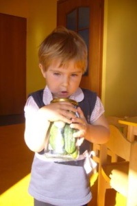 OGÓRKOWE ZAPASY ZIMOWE