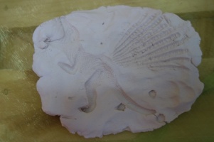 PREHISTORYCZNE SKAMIENIAŁOŚCI