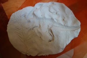 PREHISTORYCZNE SKAMIENIAŁOŚCI