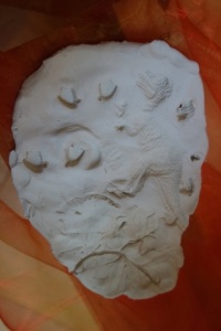 PREHISTORYCZNE SKAMIENIAŁOŚCI