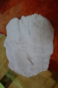 PREHISTORYCZNE SKAMIENIAŁOŚCI