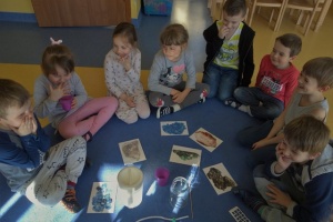 W KRAINIE DINOZAURÓW. MINERAŁY