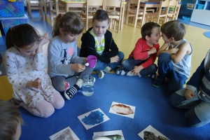 W KRAINIE DINOZAURÓW. MINERAŁY
