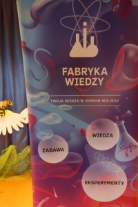 GAZOWY ZAWRÓT GŁOWY