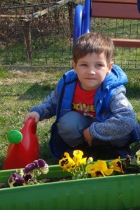 WIOSNA W OGRODZIE. SADZIMY KWIATKI