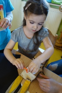 JAK POWSTAWAŁY ZDREWNIAŁE SZARACZKI