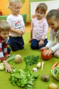 KOLOROWO BARDZO ZDROWO