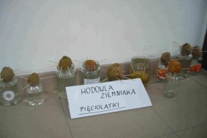 Zajęcia przyrodnicze - Wiosna 2007 - Zdjęcie 05