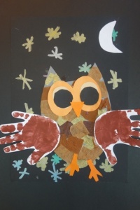 NOCNE SOWY