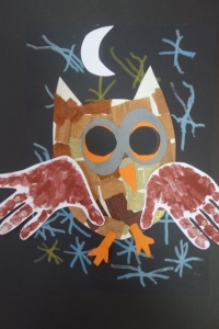 NOCNE SOWY