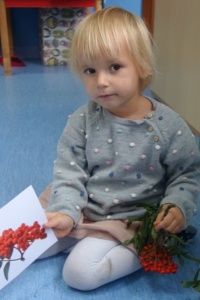 JESIENNE OBSERWACJE