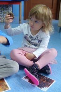 JESIENNE OBSERWACJE