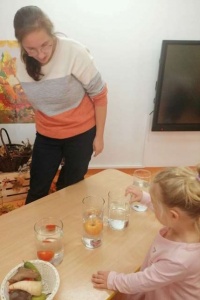 CO PŁYWA CO TONIE