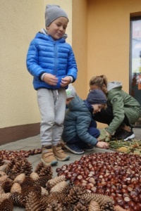 JESIENNY LIŚĆ