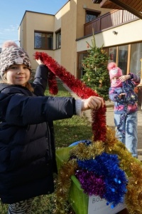 CHOINKA STROJNISIA