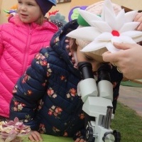 KWIATKI BRATKI (3)