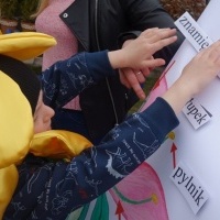 KWIATKI BRATKI (9)