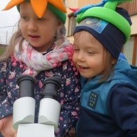 KWIATKI BRATKI (6)