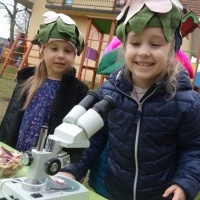 KWIATKI BRATKI (11)