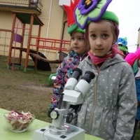 KWIATKI BRATKI (2)