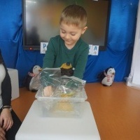MIĘDZY NAMI PINGWINAMI (10)