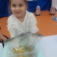 MIĘDZY NAMI PINGWINAMI (4)