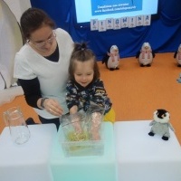 MIĘDZY NAMI PINGWINAMI (2)